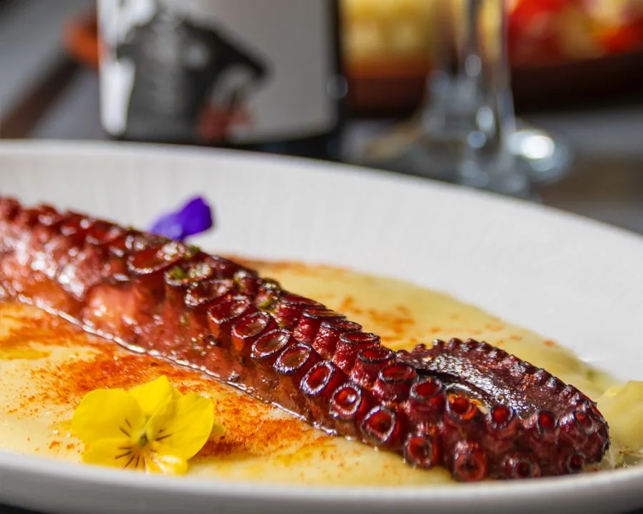 Una pata de pulpo a la brasa sobre parmentier de patata, con una flor amarilla