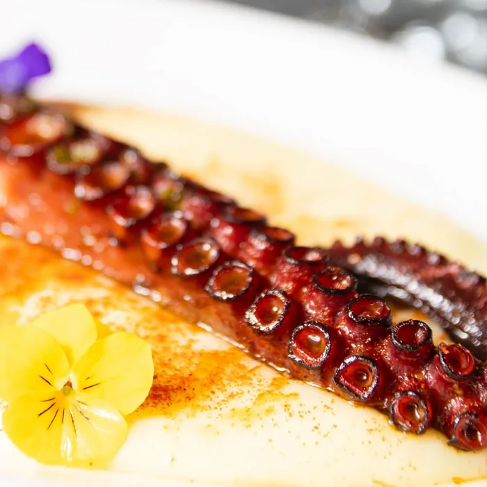 Una pata de pulpo a la brasa sobre parmentier de patata